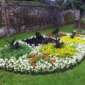 Downham Market in Bloom