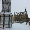 snowy downham