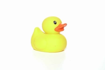 Rubber Ducks prepares for Hilgay Race